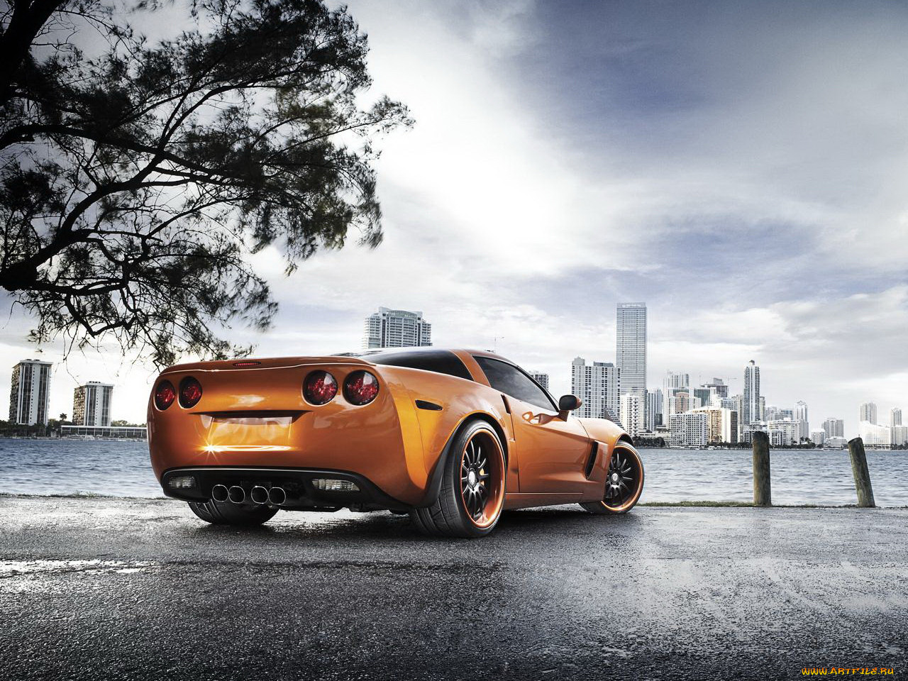 , corvette